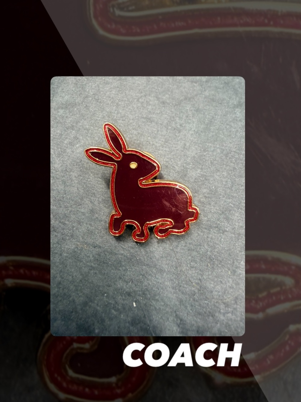 EUC Coach Varsity Pretty Rabbit
Enamel Pin
